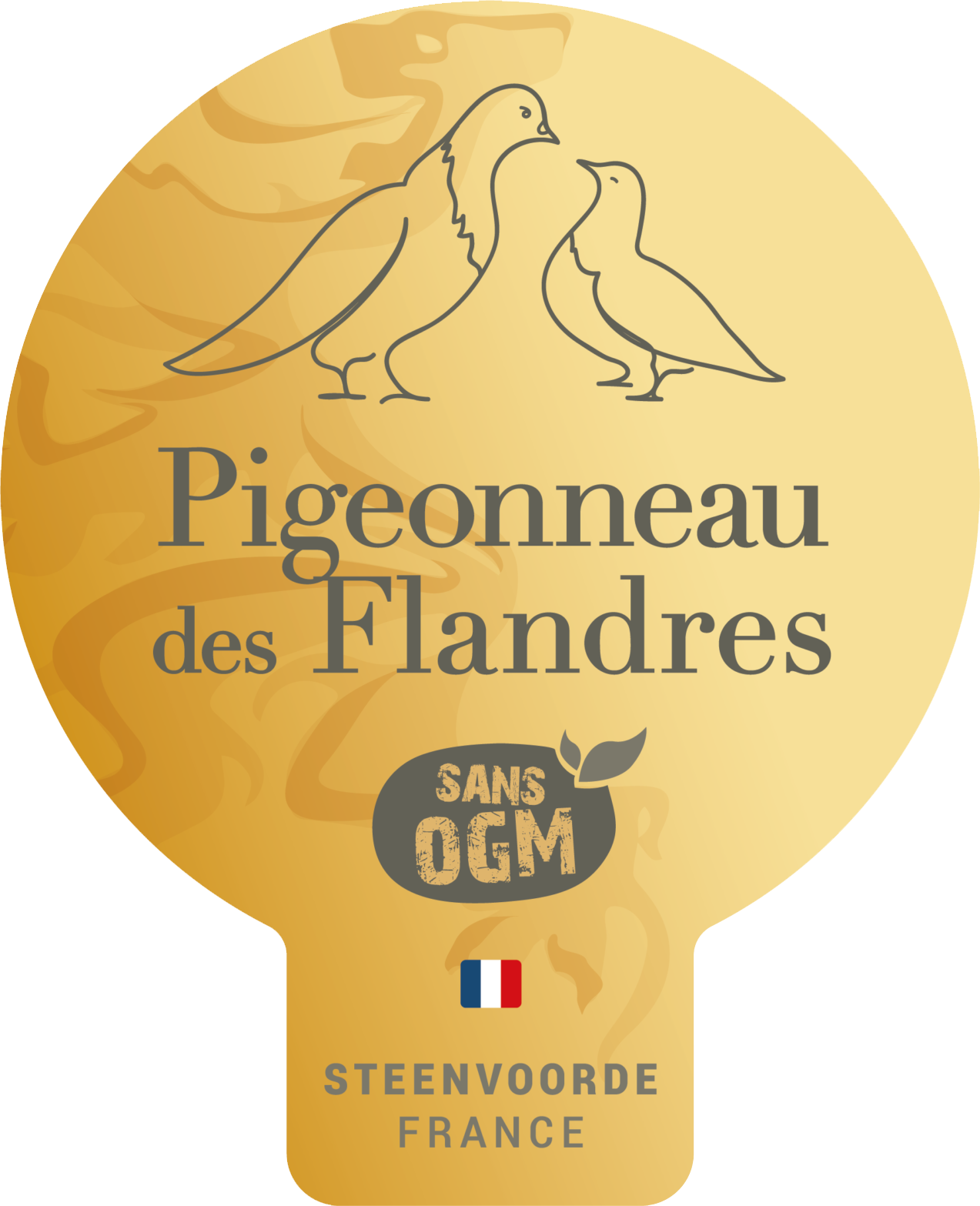 Flandre Pigeonneau